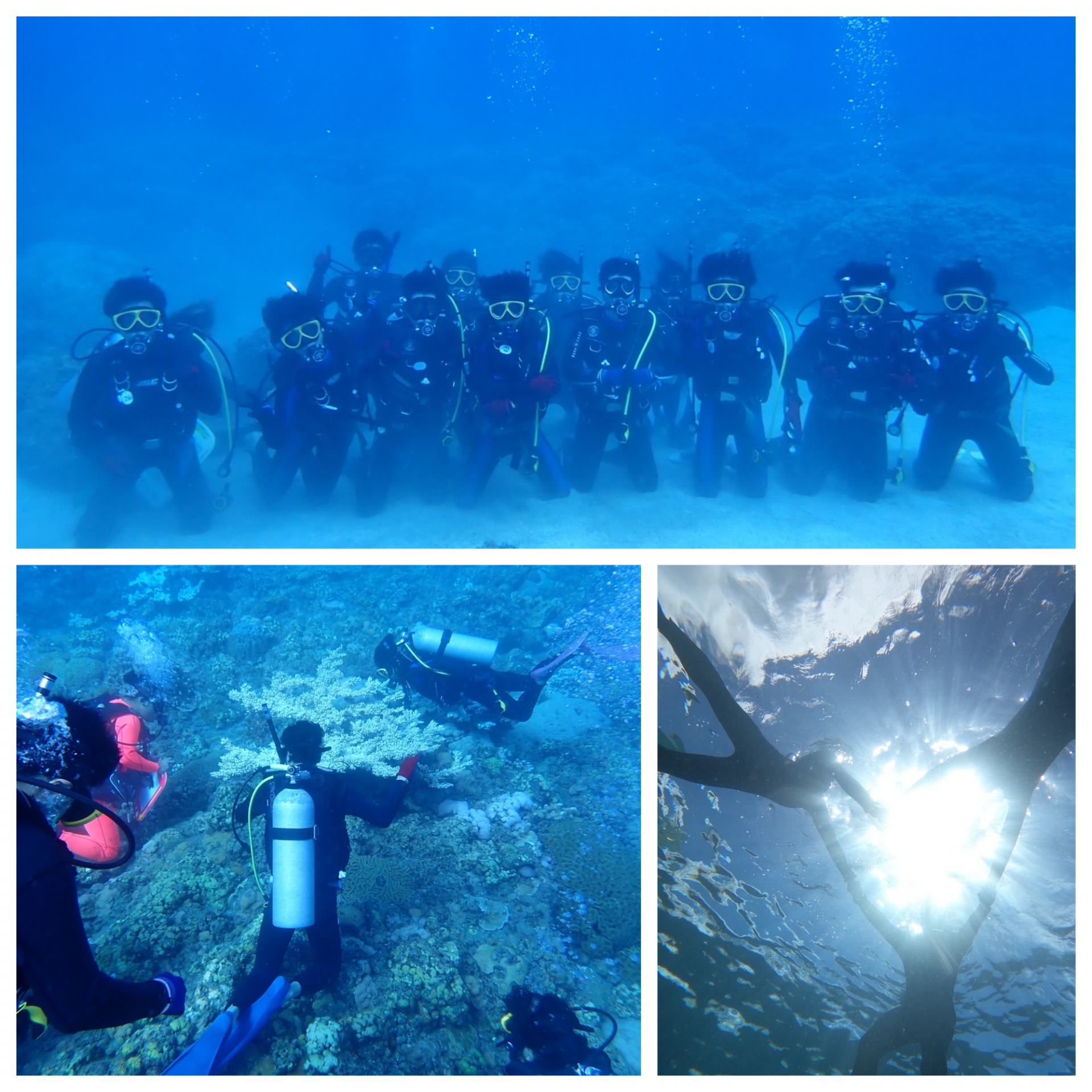 Blank 3 Grids Collage - 2025-10-24T203311.349